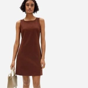 Everlane Brown Mini Shift Dress